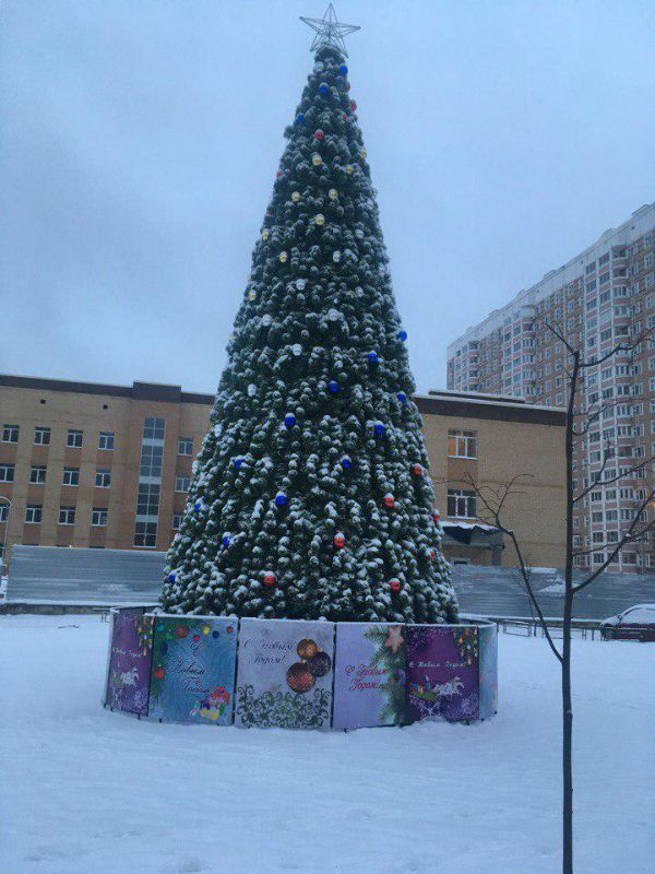Кузнечики