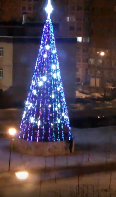 Кузнечики