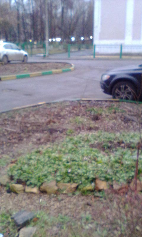 Клумба