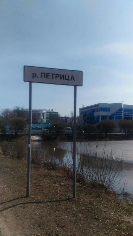 Петрица