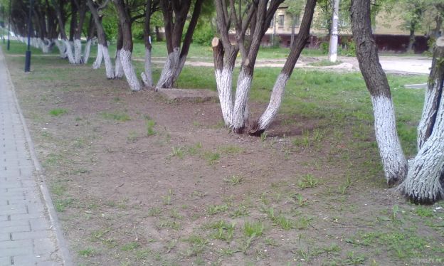 В Подольске это норма