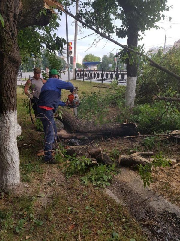 В Подольске устраняют последствия ураганного ветра