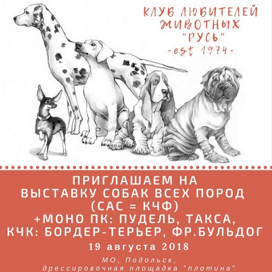 Афиша