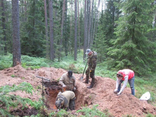 Подольские поисковики наши останки погибших бойцов 43-й Армии