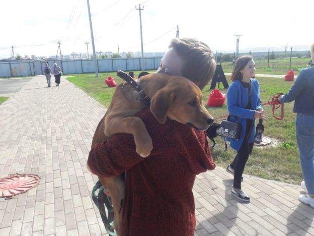Центр реабилитации временно бездомных животных «Юна»