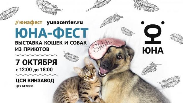 Центр помощи животным «Юна» проведет выставку-пристройство собак и кошек