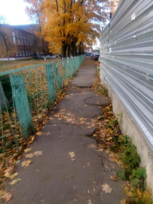 Дорога в школу