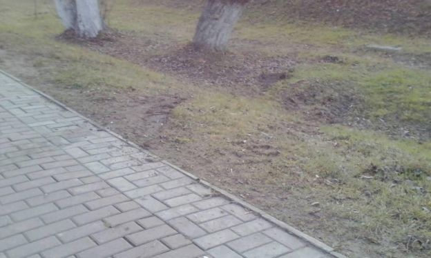 Весенняя