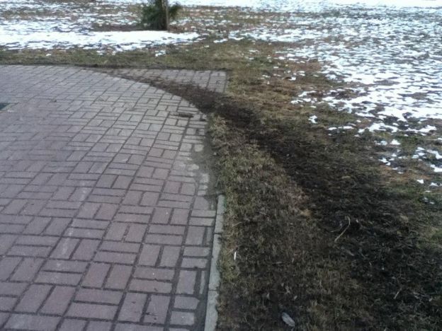 2017 г.