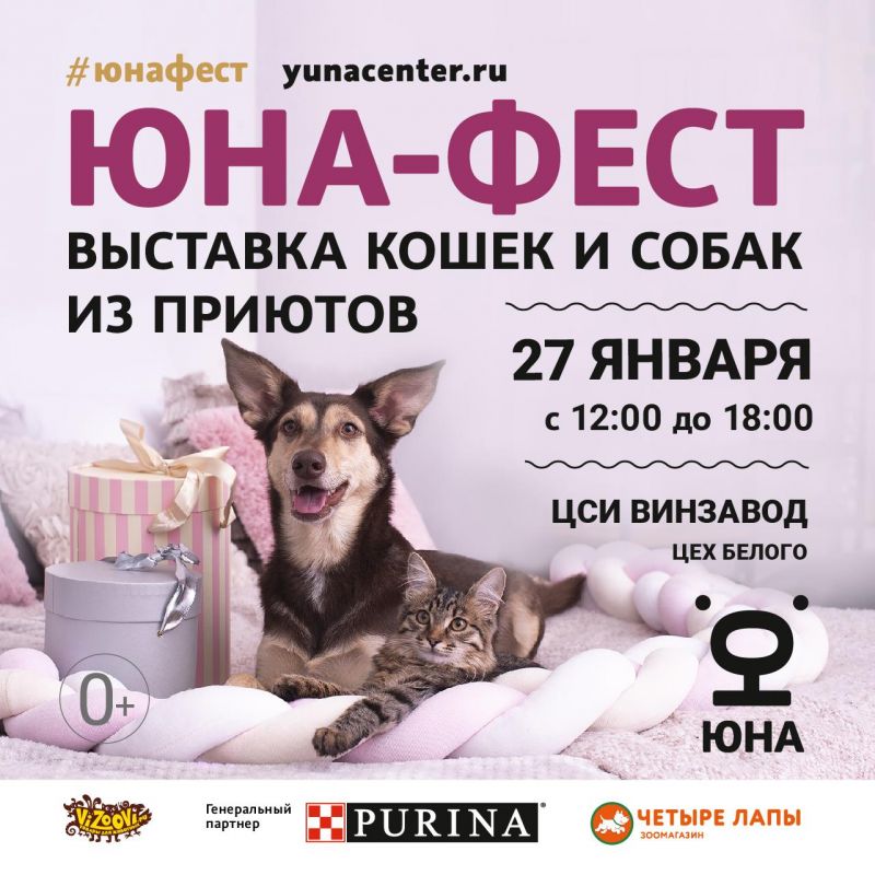 Подольский центр «Юна» организует выставку-пристройство кошек и собак