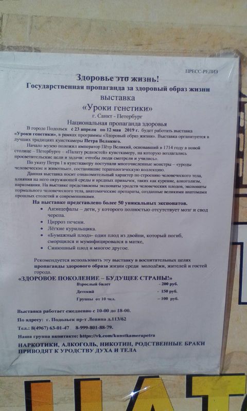 Выставка