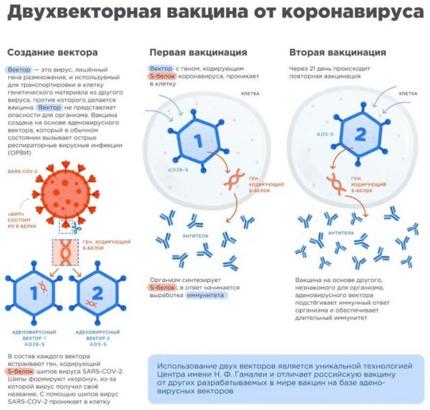 через какое время нужно ставить вторую прививку спутник. Смотреть фото через какое время нужно ставить вторую прививку спутник. Смотреть картинку через какое время нужно ставить вторую прививку спутник. Картинка про через какое время нужно ставить вторую прививку спутник. Фото через какое время нужно ставить вторую прививку спутник