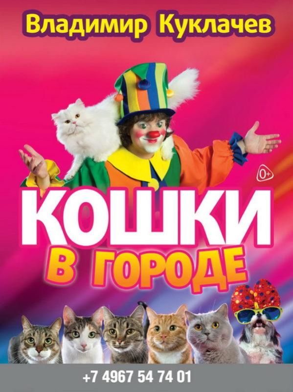 афиша-кошки-600x801