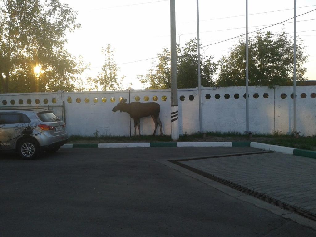 Климовск