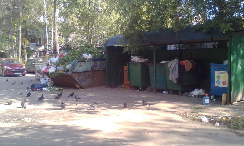 Раздельный сбор в Подольске сегодня