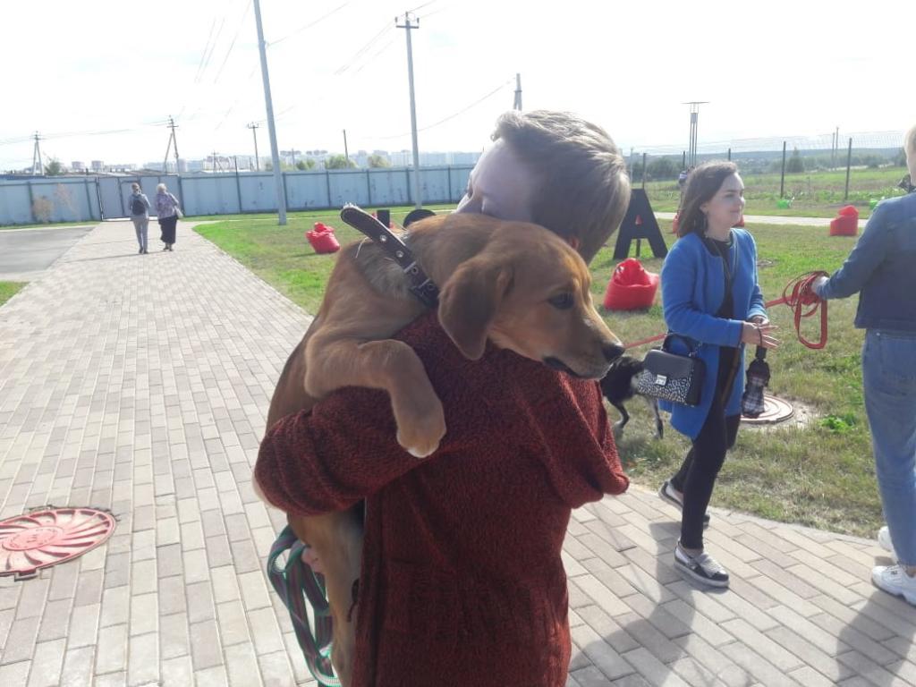 В Подольске открылся частный центр реабилитации бездомных животных