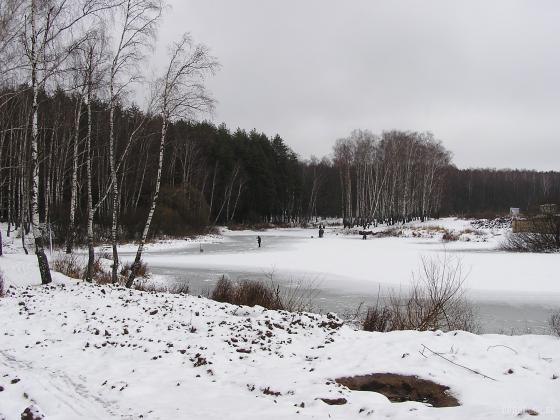 Зимние пикниковые точки откроют в лесах области к концу недели