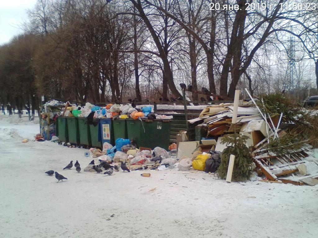 Вывоз мусора в Подольске:  время уговоров и ожиданий, веры в обещания прошло
