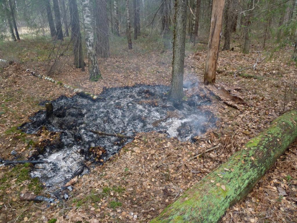Труп неизвестного мужчины сожгли в лесу под Подольском