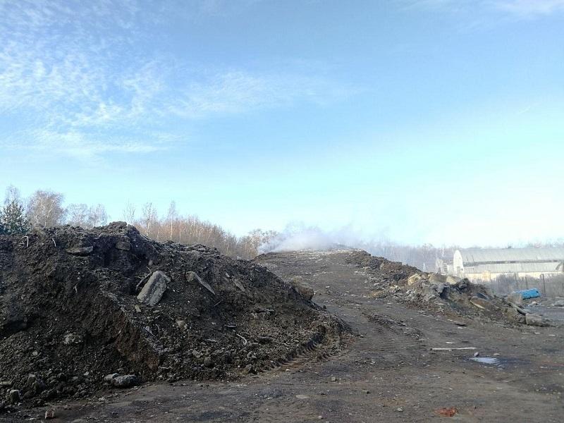 На ликвидацию незаконной свалки в Подольске уйдет 4 месяца