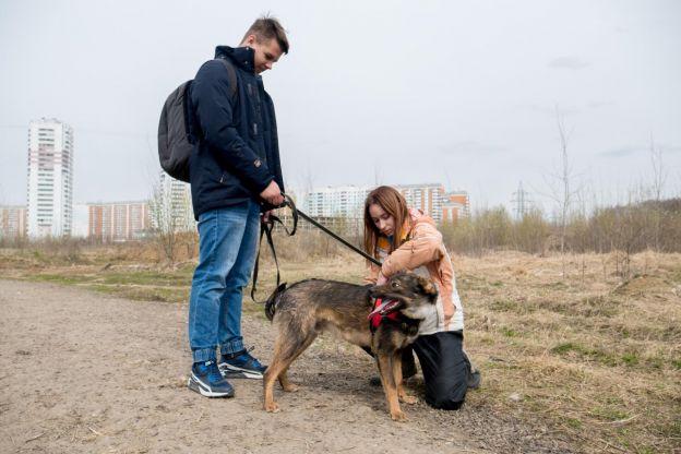Подростки отвезли подарки в собачий приют в Щербинке