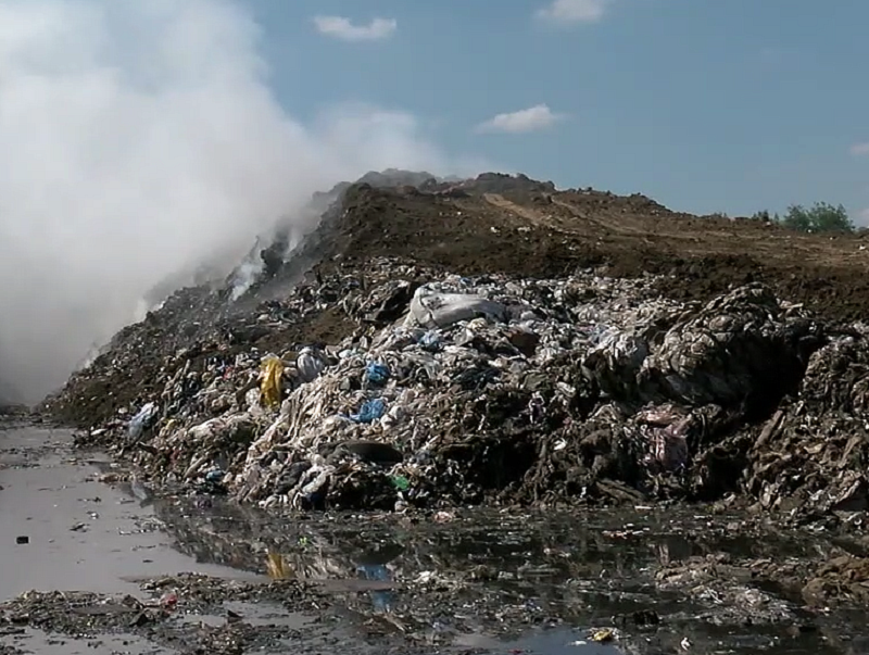 Службу вывоза мусора суд обязал возместить 875-тысячный ущерб окружающей среде 