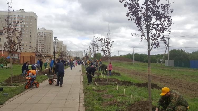 Аллею Героев в Подольске украсили молодыми деревьями