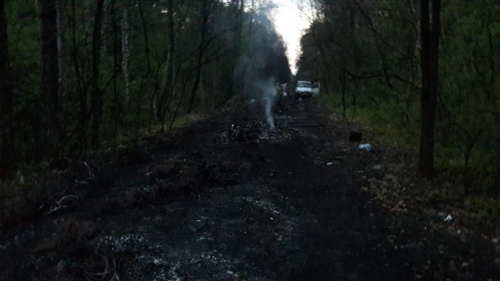Воздух Львовского отравляют обжигальщики медных проводов
