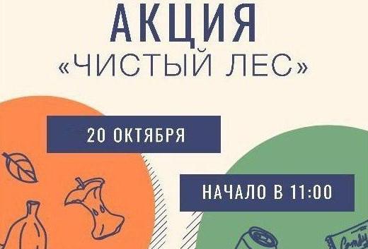 Ежегодная акция «Чистый лес» пройдет пройдет в Подольске