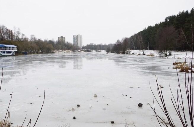 Обследование реки Петрицы проведут в марте