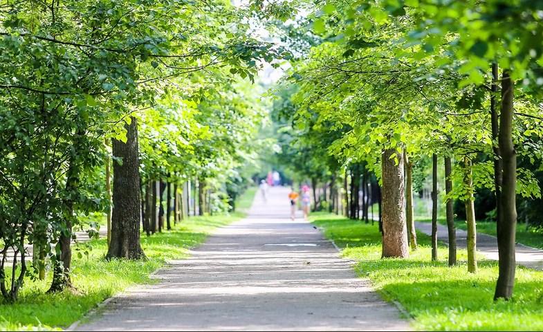 В парках отменяется масочный режим