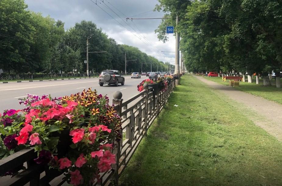 Благоустройство вдоль проезжей части