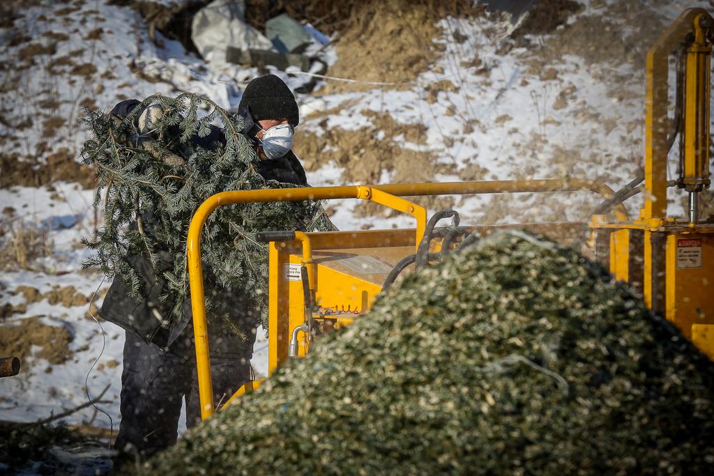 Пункты приёма ёлок на переработку в Подольске