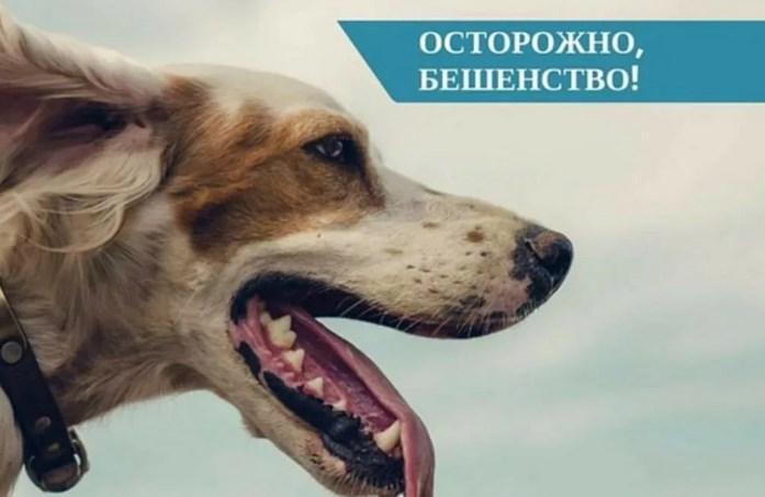 Осторожно бешенство!