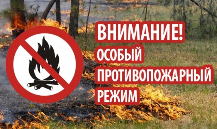 В Подольске установлен особый противопожарный режим