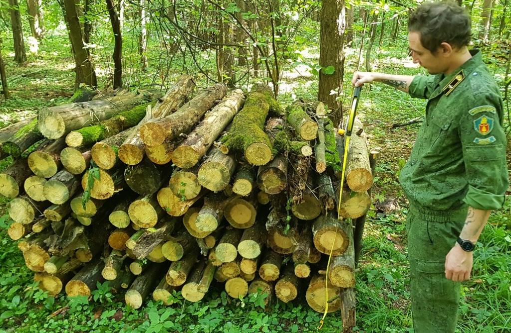 В Подольске прошла проверка качество работ по уборке неликвидной древесины