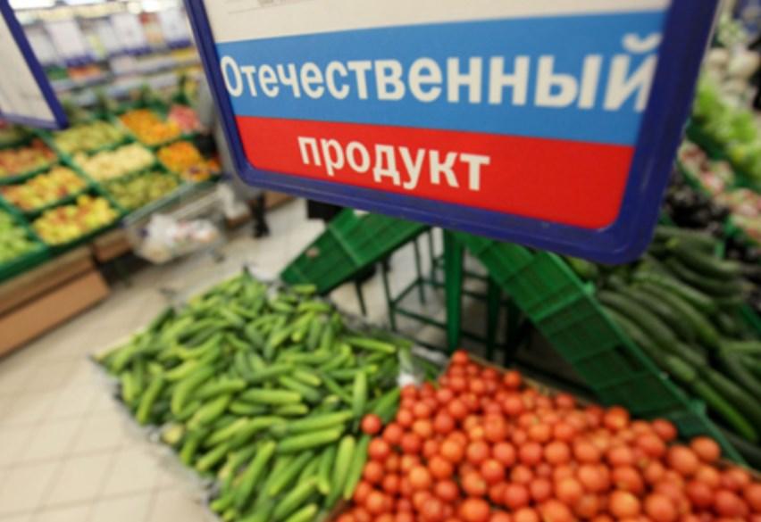 Правительство Московской области разработало программу для развития импортозамещения