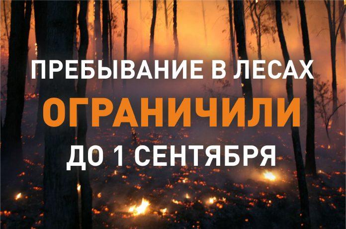 Ограничение на пребывание в лесах Подмосковья продлено