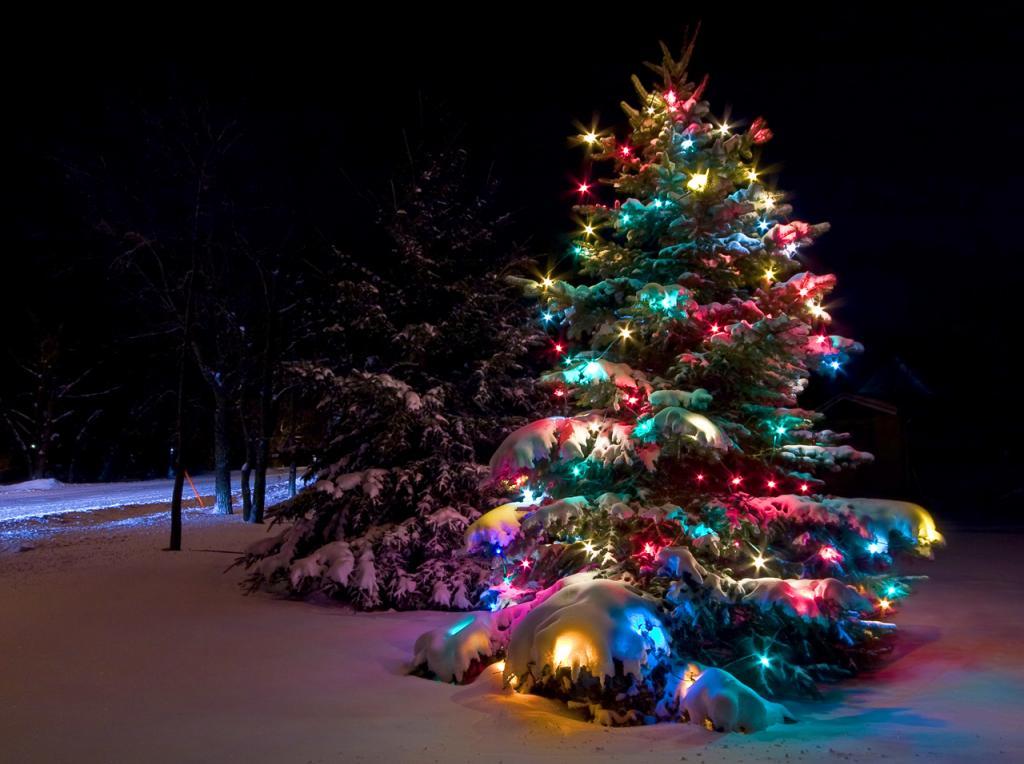 1 декабря открывается зимний сезон в парках Подольска