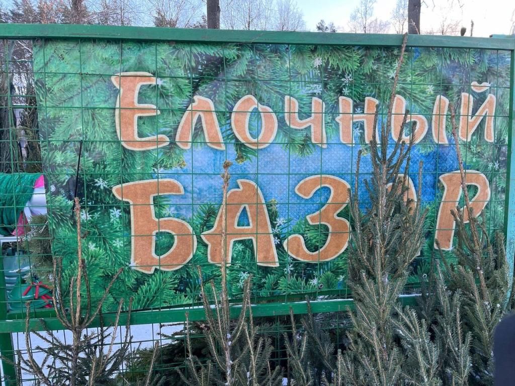 В Подольске официально работают елочные базары
