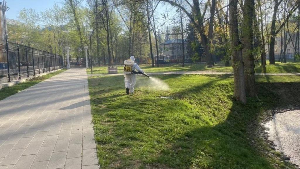 В Московской области приступили к обработке парков от клещей