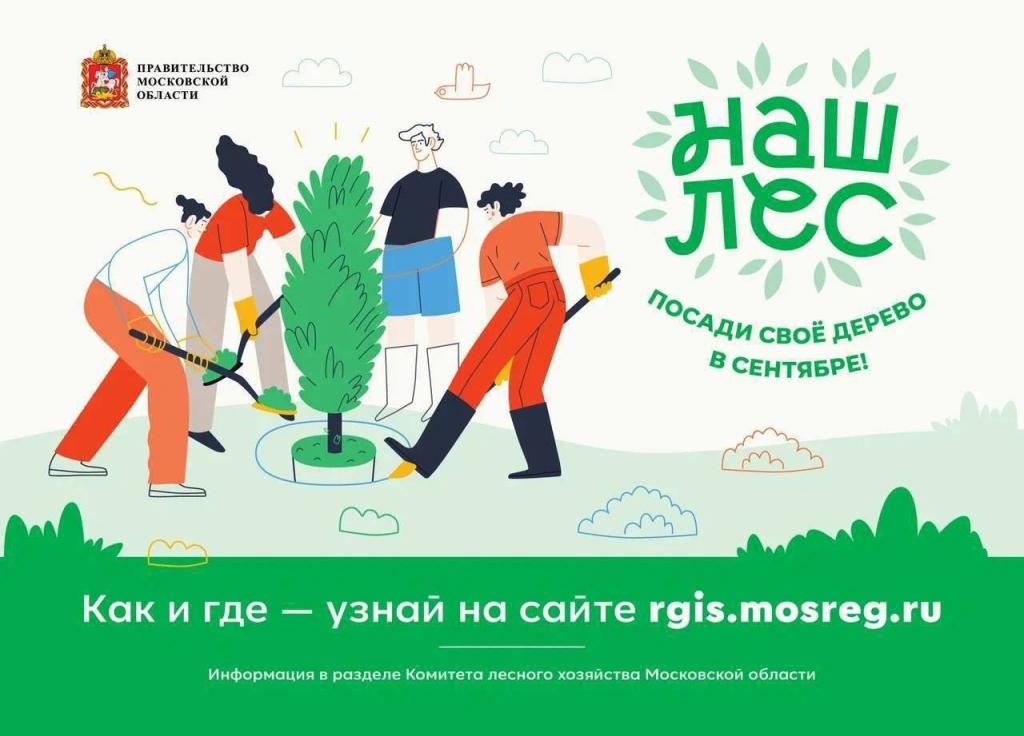 Подольск примет участие в областной экологической акции «Наш лес. Посади свое дерево» 30 сентября 