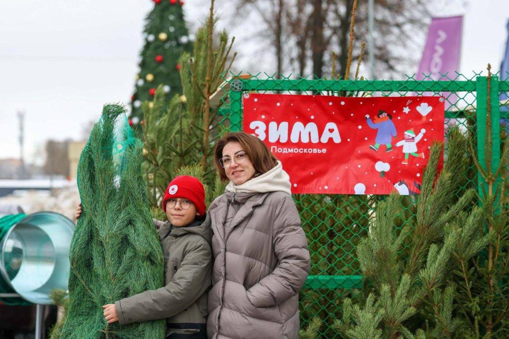 В Подольске открылись новогодние ёлочные базары