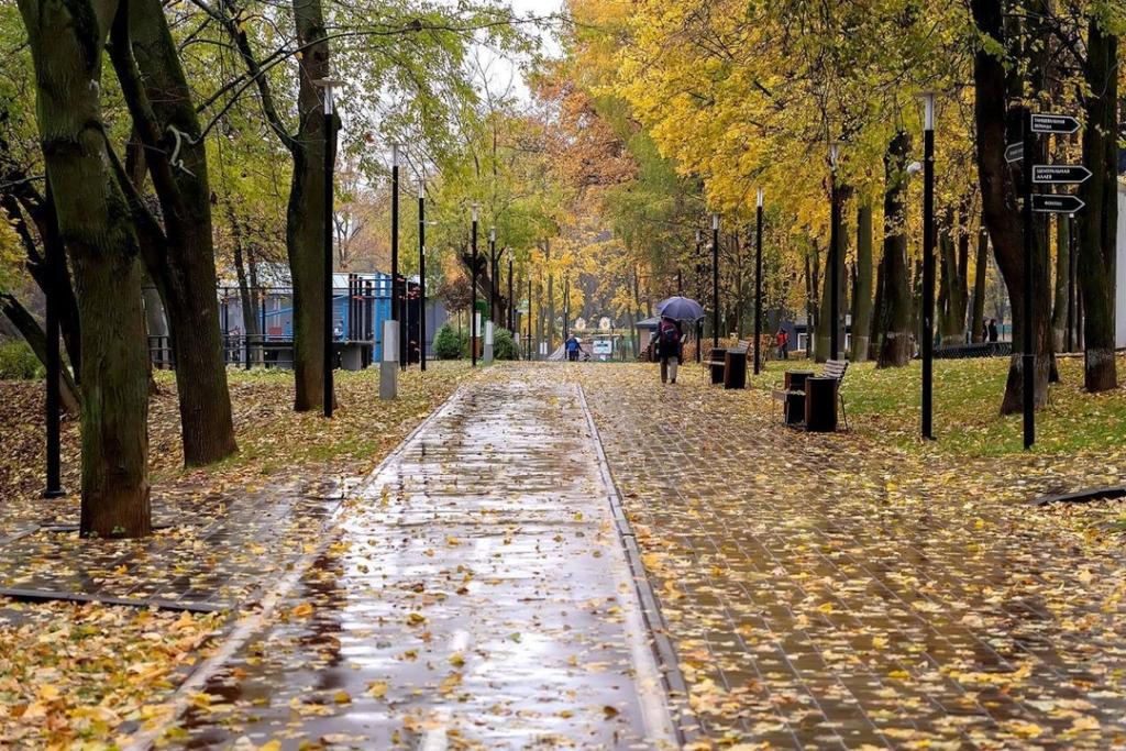 В Подольске проверили готовность парков к зимнему сезону