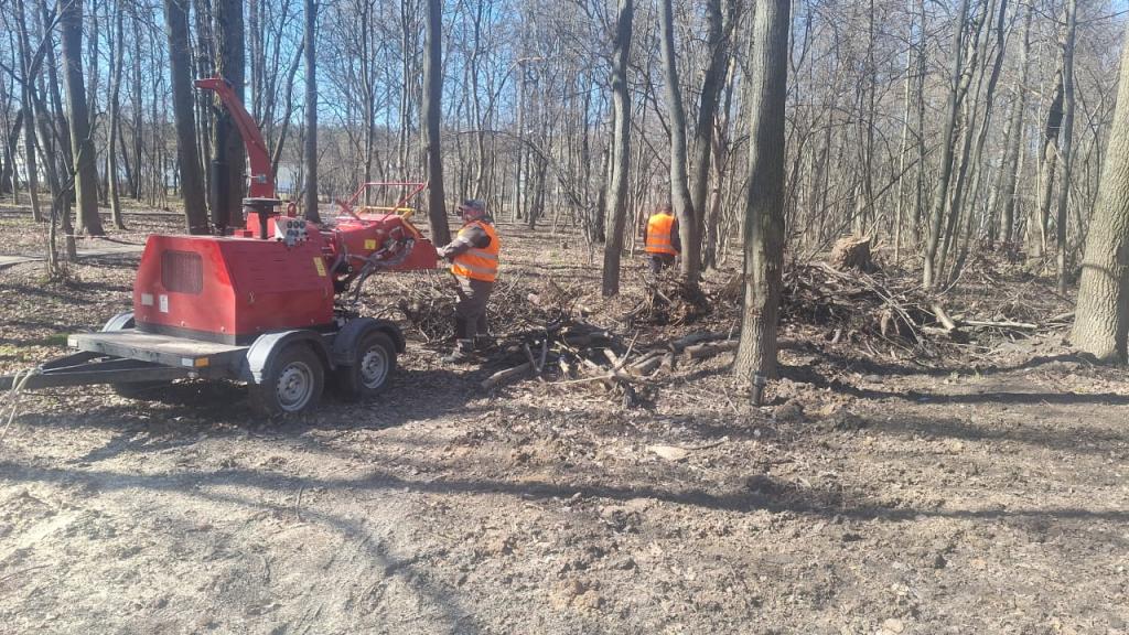 В Подольске проводится реконструкция лесопарка «Березки»