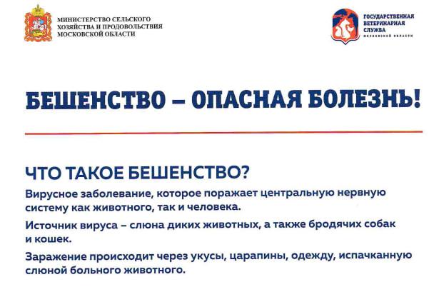 В Подольске до конца мая проводится месячник по профилактике бешенства среди животных