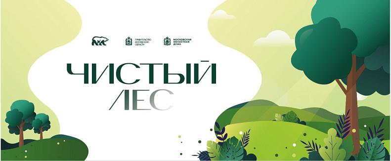 В лесопарке «Елочки» в Подольске 15 августа пройдет акция «Чистый лес»