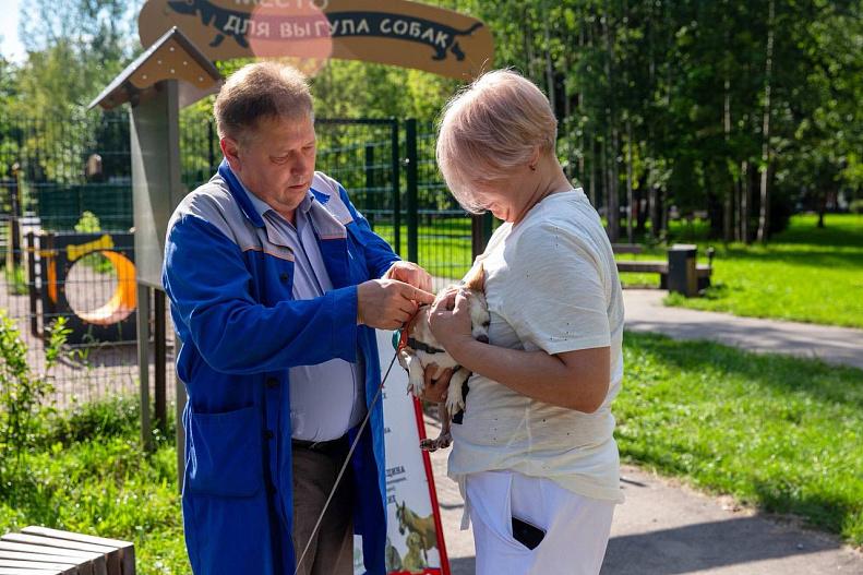 Передвижной ветеринарный пункт будет работать в сквере 200-летия города Подольска 8 сентября
