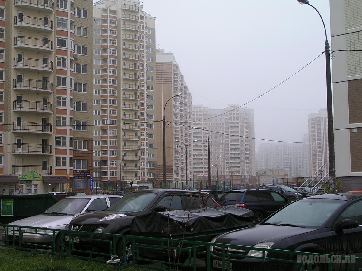 Подольск кузнечики
