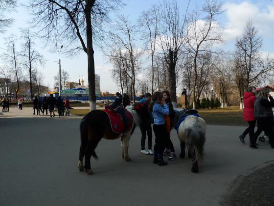 Дети в парке, пони